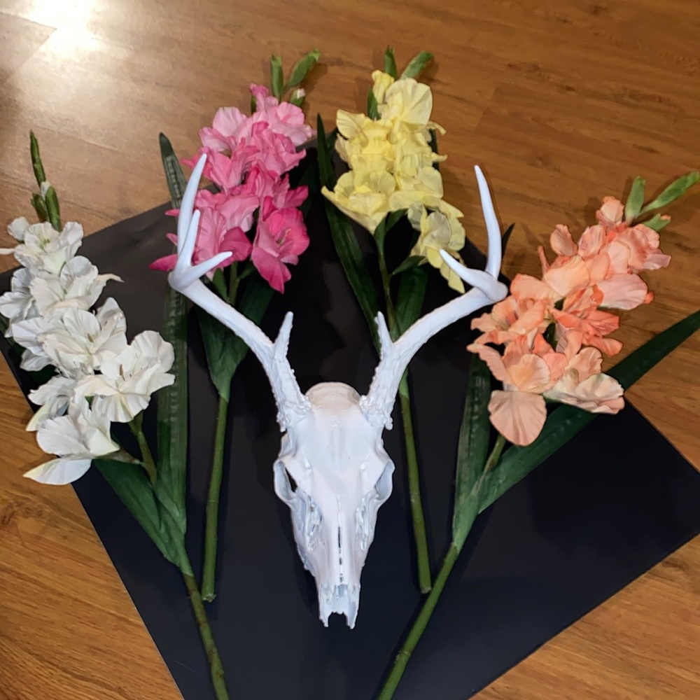 Deer Skull w/ Antlers bright milk white, crafted by hand, one of kind accent